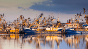 Omscholing visserij naar zeevaart